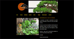 Desktop Screenshot of celtabonsai.com
